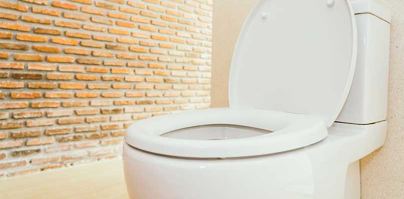 Les WC lavants : l'innovation qui change les petits coins